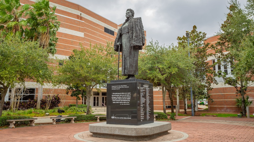 Bethune - Cookman College