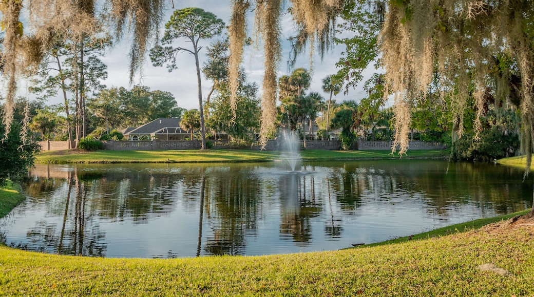 Palm Harbor Golf Club featuring a pond and a fountain