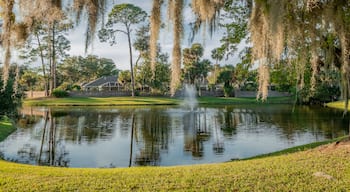 Palm Harbor Golf Club featuring a pond and a fountain