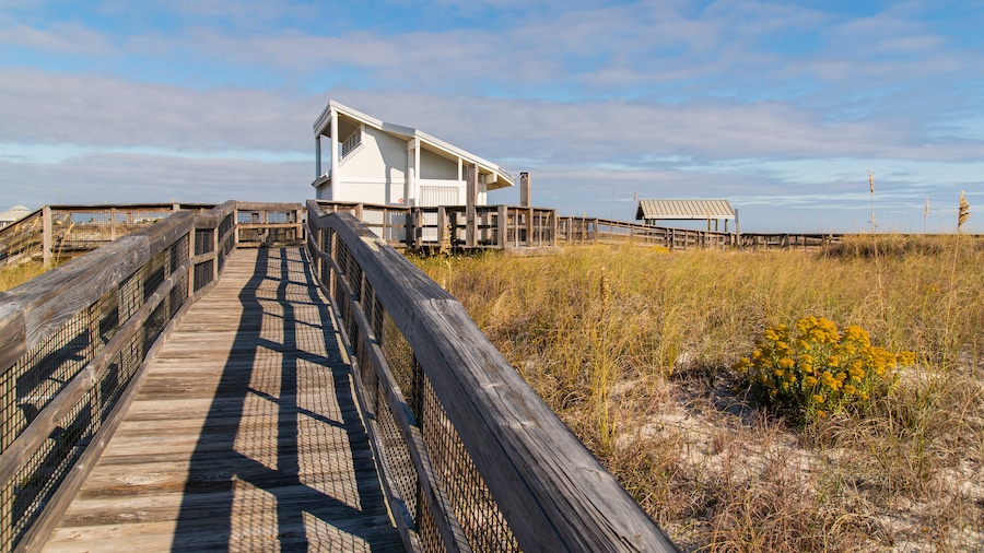 Perdido Key State Park featuring general coastal views