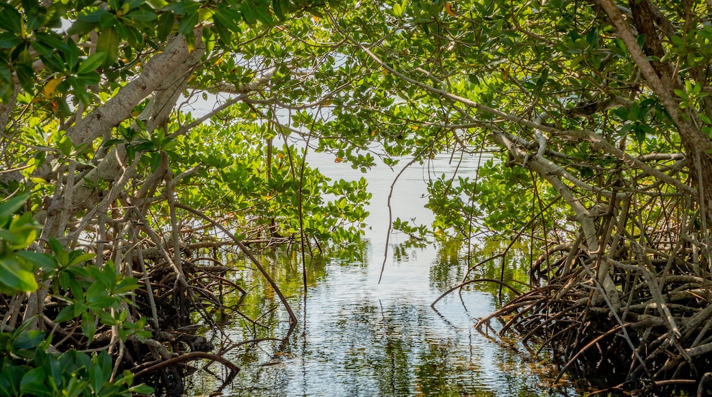 Crane Point Museum and Nature Center