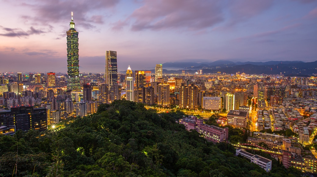 Elephant Mountain featuring night scenes, landscape views and a city