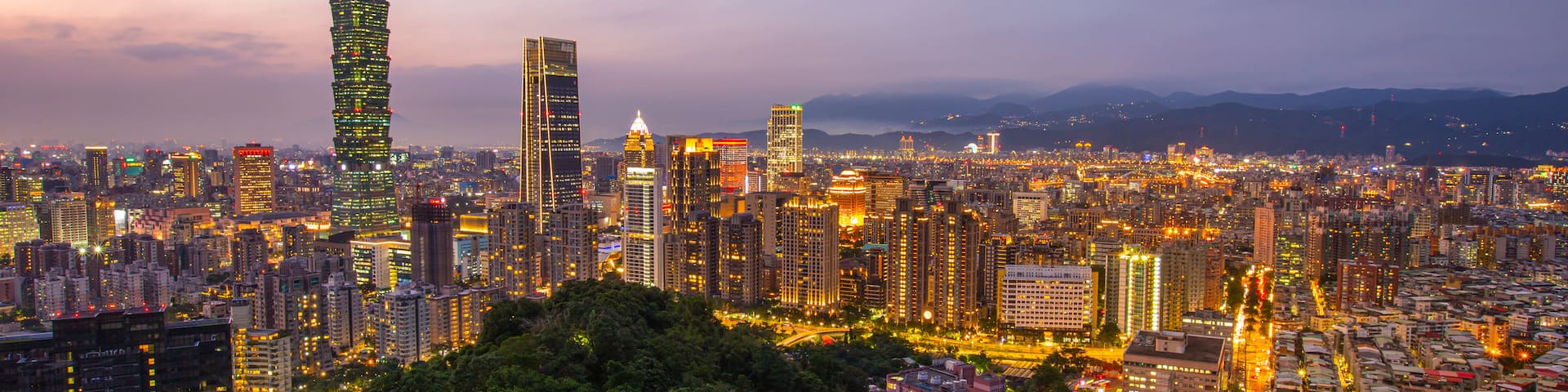 Elephant Mountain featuring night scenes, landscape views and a city