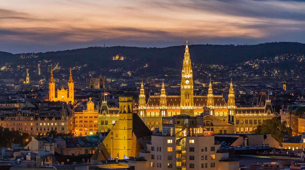 Wiener Rathaus omgivningar