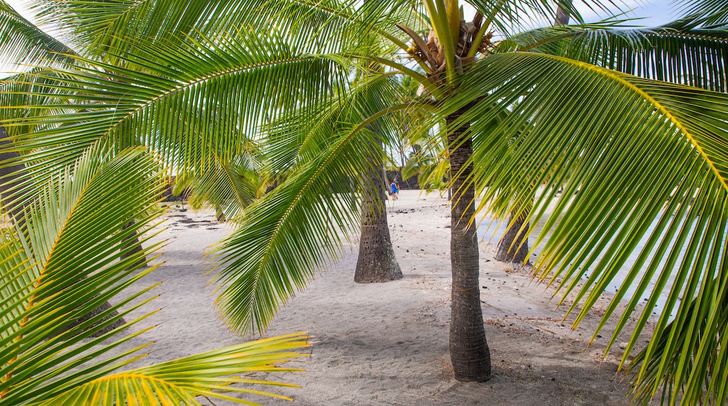 Pu\'uhonua o Honaunau National Historical Park featuring a sandy beach and tropical scenes