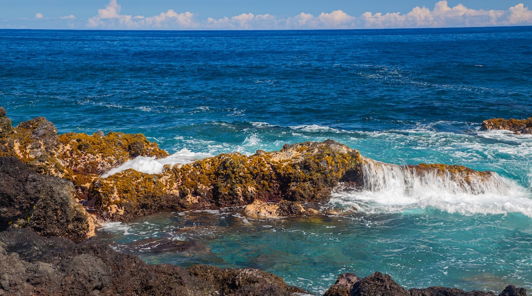 Laupahoehoe showing surf, general coastal views and rugged coastline