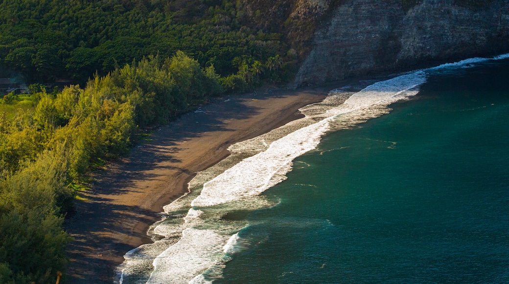 Waipiʻo Valley Lookout