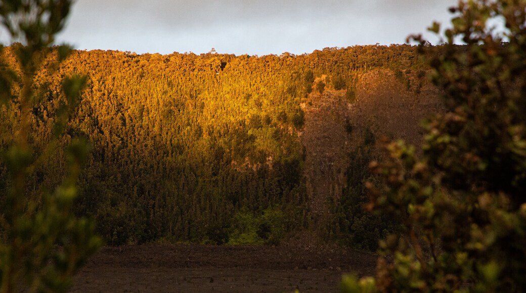 Kilauea Iki Crater