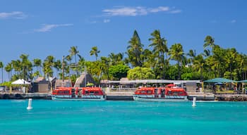 Kailua Pier featuring general coastal views, tropical scenes and a bay or harbor