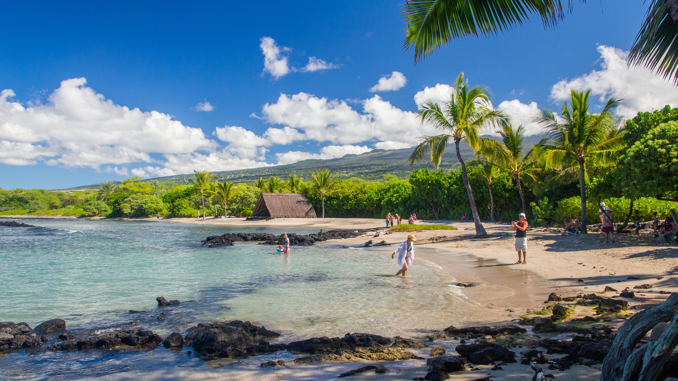 Kaloko-Honokohau National Historical Park featuring tropical scenes, general coastal views and a sandy beach