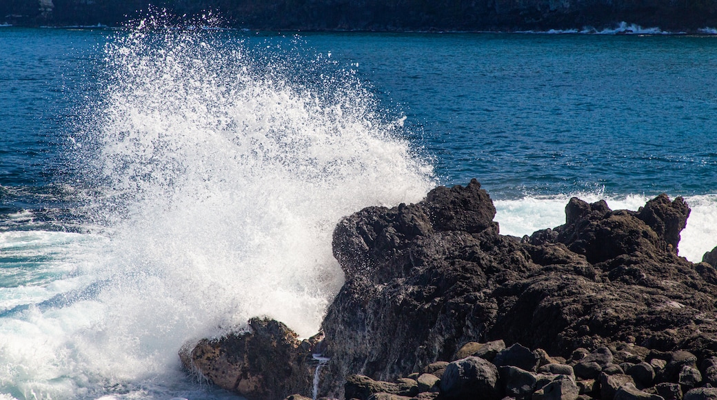 Laupahoehoe featuring rugged coastline, general coastal views and waves