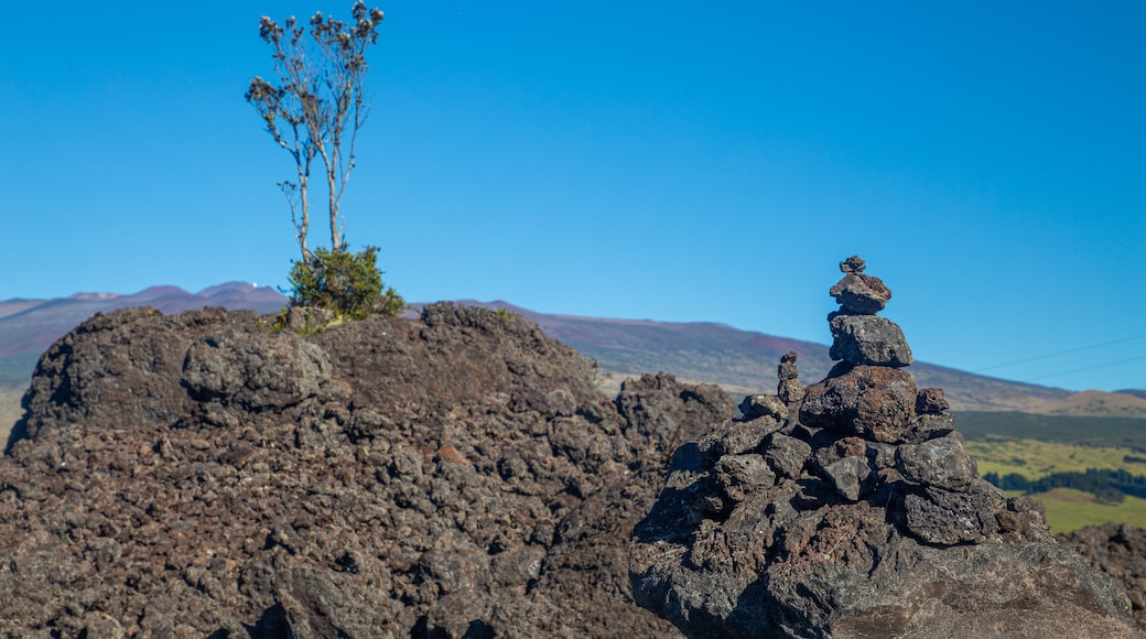 Mauna Kea State Recreation Area which includes tranquil scenes