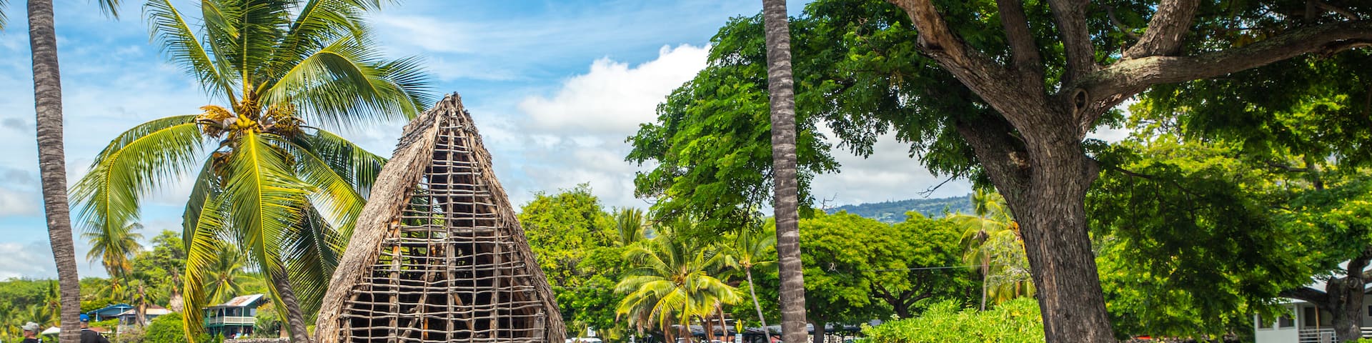 Pu\'uhonua o Honaunau National Historical Park which includes a park and tropical scenes