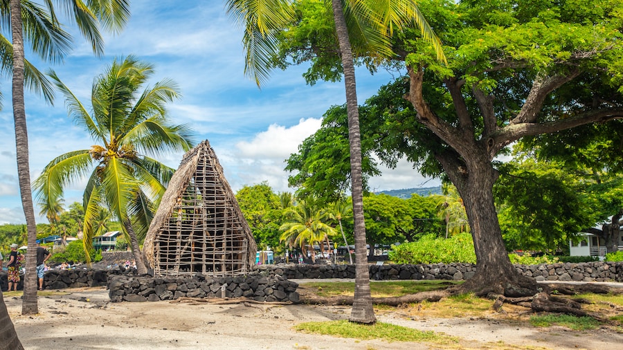 Pu\'uhonua o Honaunau National Historical Park which includes a park and tropical scenes