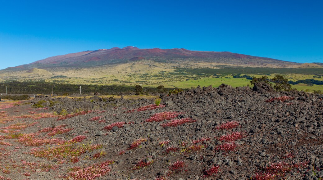 Mauna Kea State Recreation Area featuring tranquil scenes