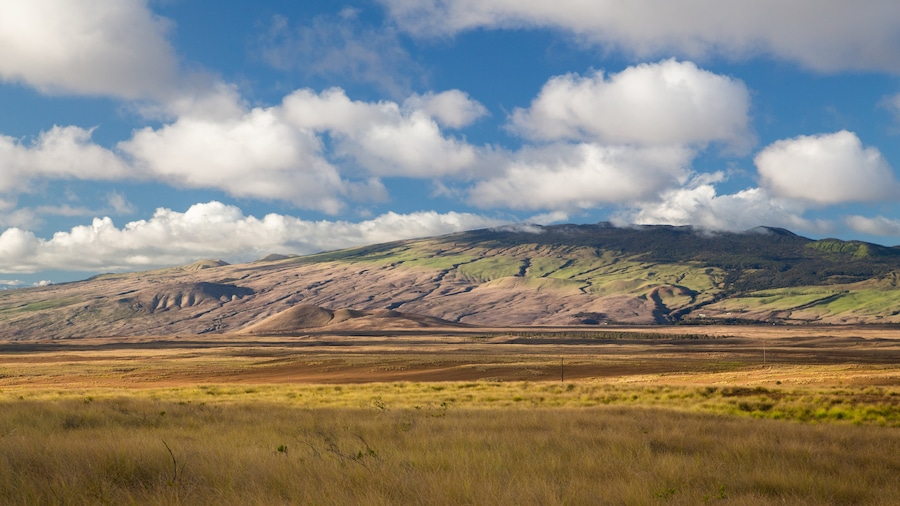 Kamuela featuring tranquil scenes, mountains and landscape views