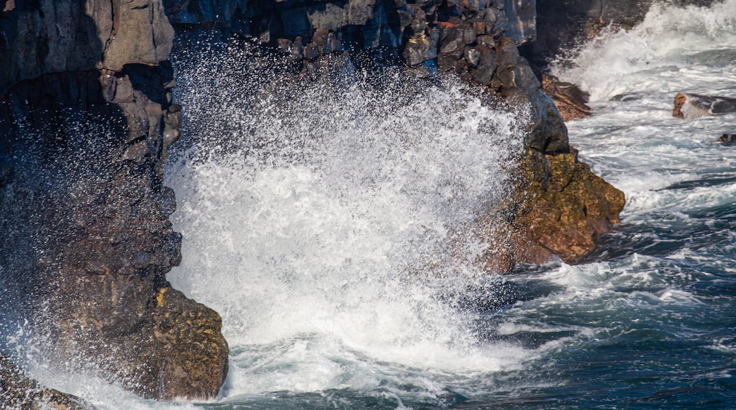 End of the Road showing rugged coastline, general coastal views and surf