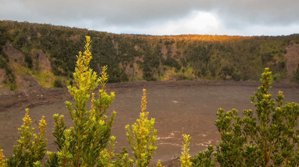 Kilauea Iki Crater