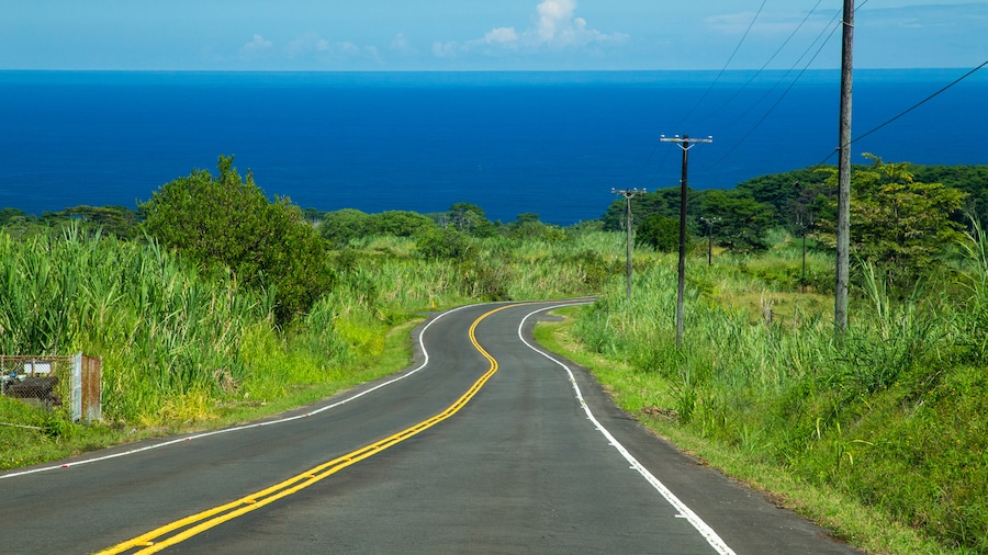 Honomu featuring tranquil scenes and general coastal views