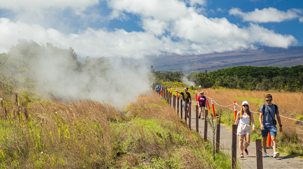 Hawaii Volcanoes National Park which includes tranquil scenes and mist or fog as well as a couple