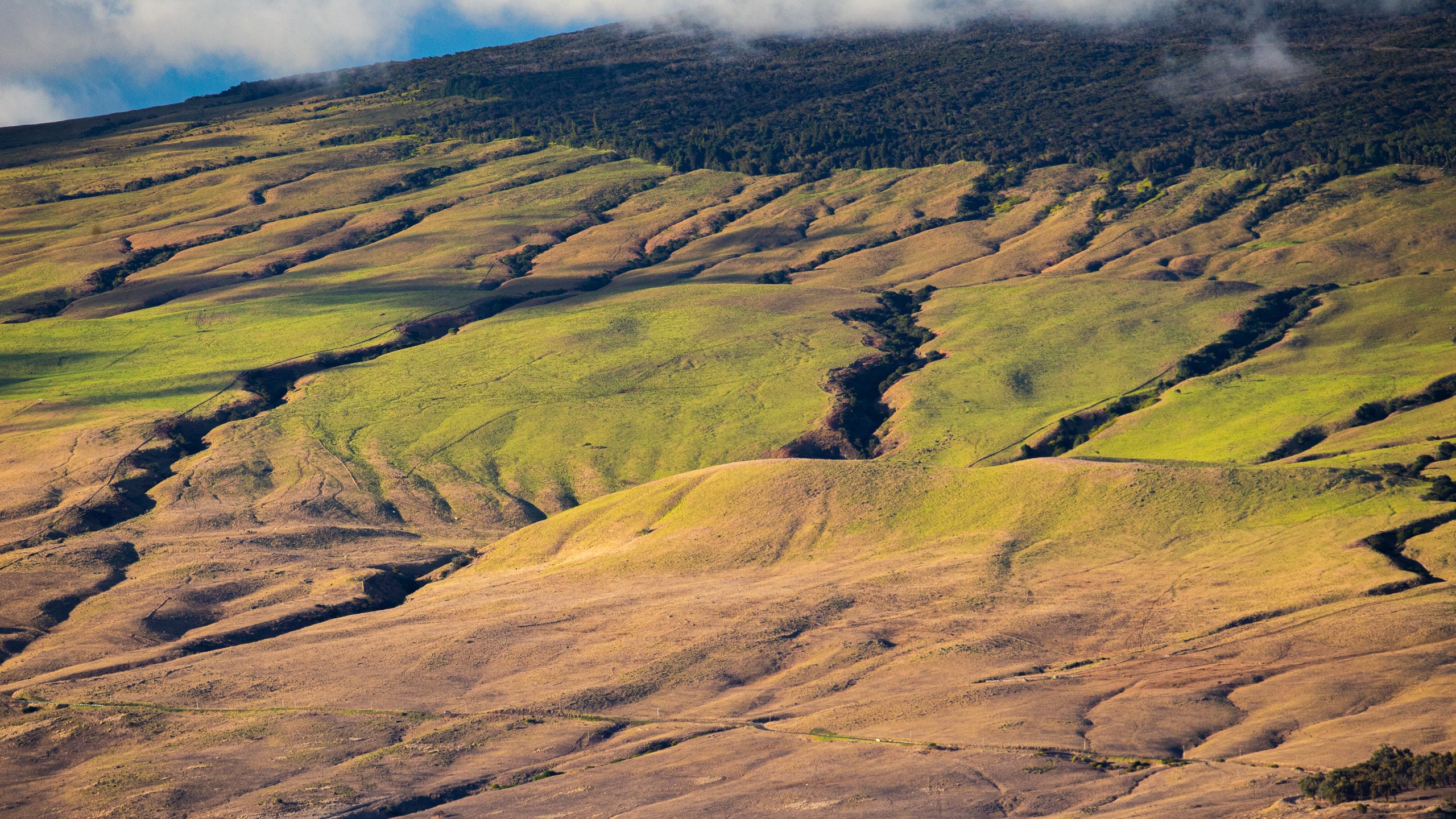 Visit Waimea 2024 Travel Guide for Waimea, Kamuela Expedia