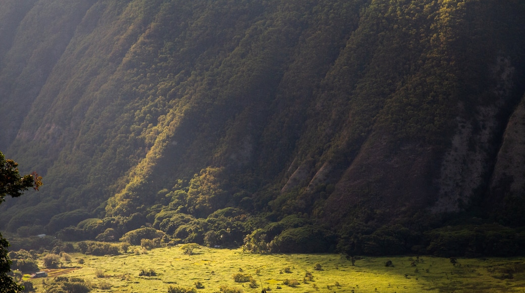 Waipiʻo Valley Lookout