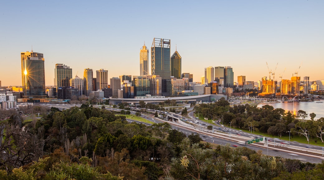 Kings Park and Botanic Garden featuring landscape views, a sunset and a city