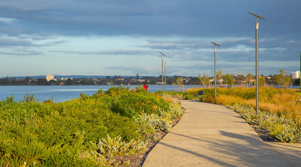Ciudad de South Perth