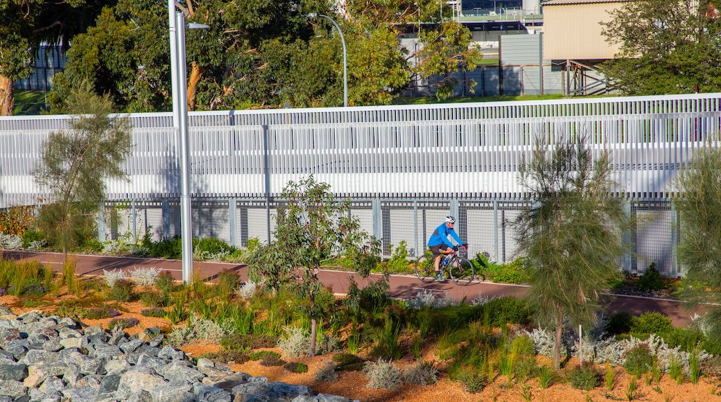 East Perth showing a garden and road cycling as well as an individual male