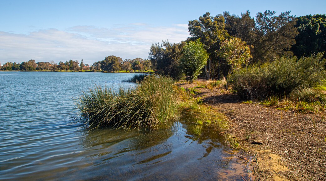 Lake Monger Reserve