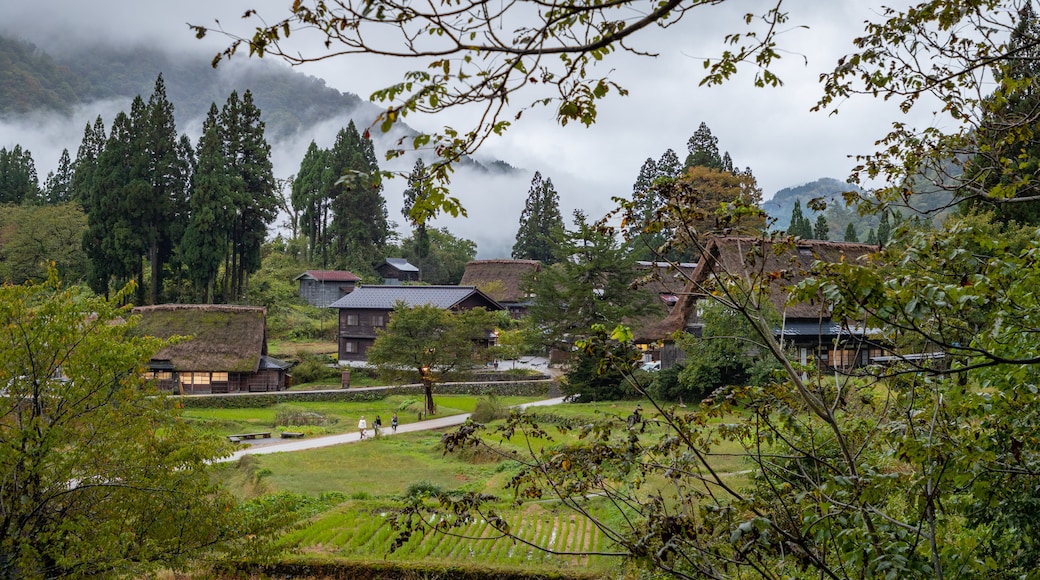 Ainokura