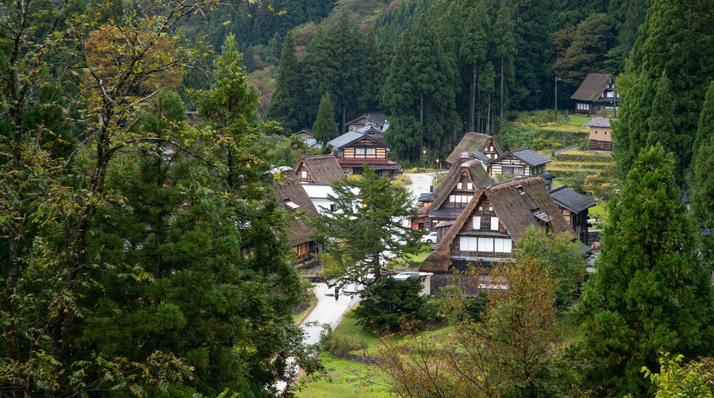 Ainokura featuring landscape views and a small town or village