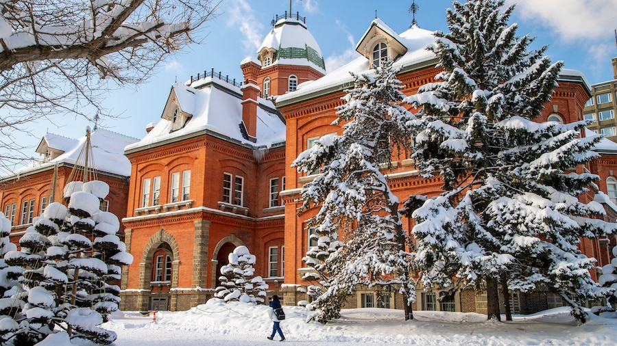 Former Hokkaido Government Office Building showing snow and heritage architecture