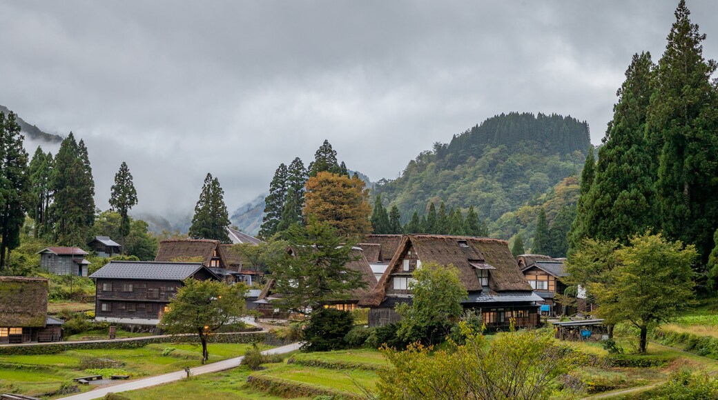 Ainokura showing a small town or village