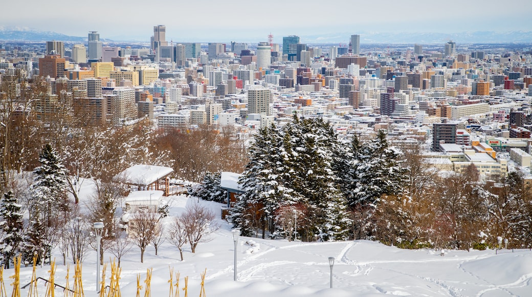 Asahiyama Park showing snow, landscape views and a city