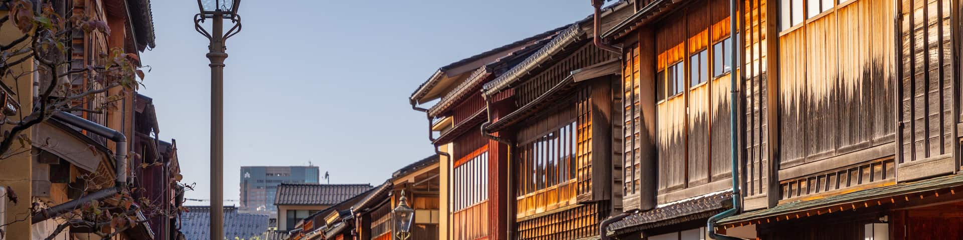 Higashiyama Higashi Chaya District showing street scenes