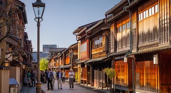 Higashiyama Higashi Chaya District showing street scenes