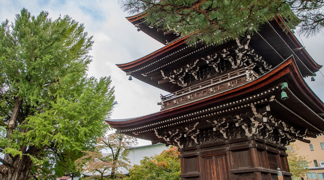 Hida Kokubunji Temple