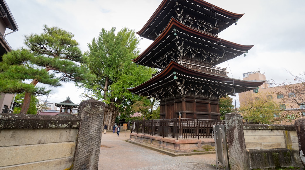 Hida Kokubunji Temple