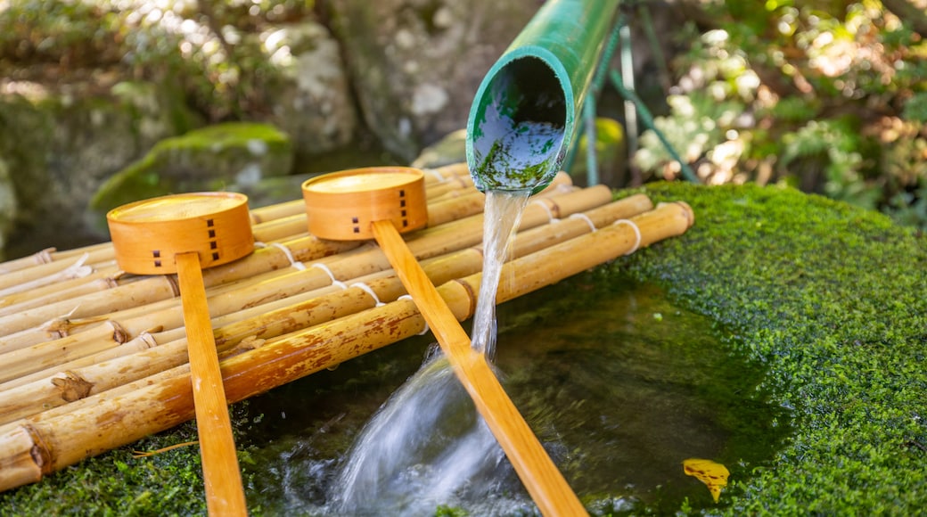 Shirakawa which includes a fountain