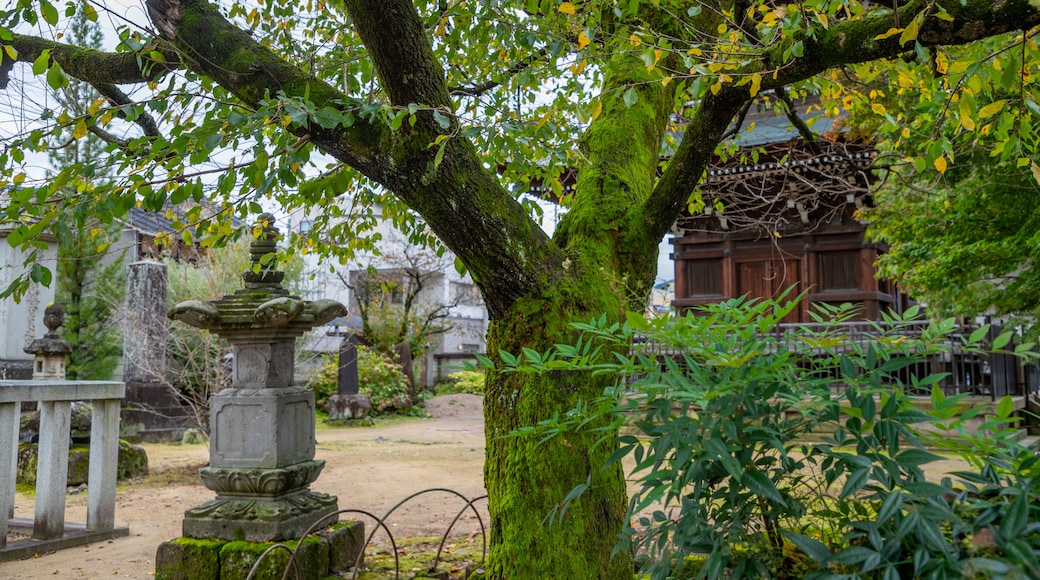 Hida Kokubunji Temple