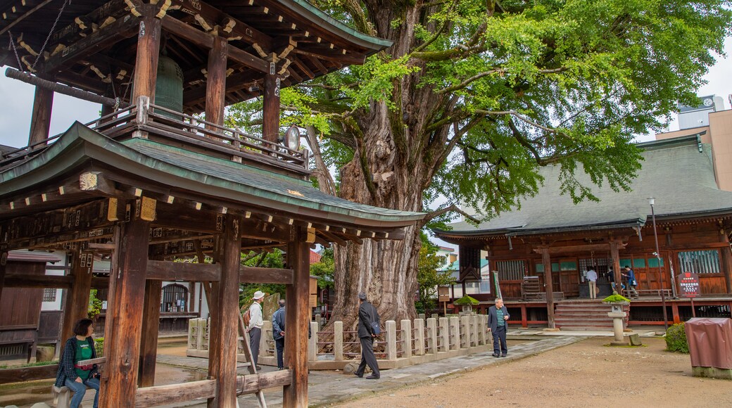 Hida Kokubunji Temple