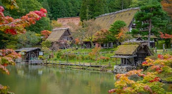 Hida Takayama Onsen which includes a small town or village and a pond