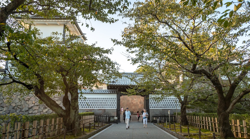 Kanazawa Castle showing a park as well as a couple