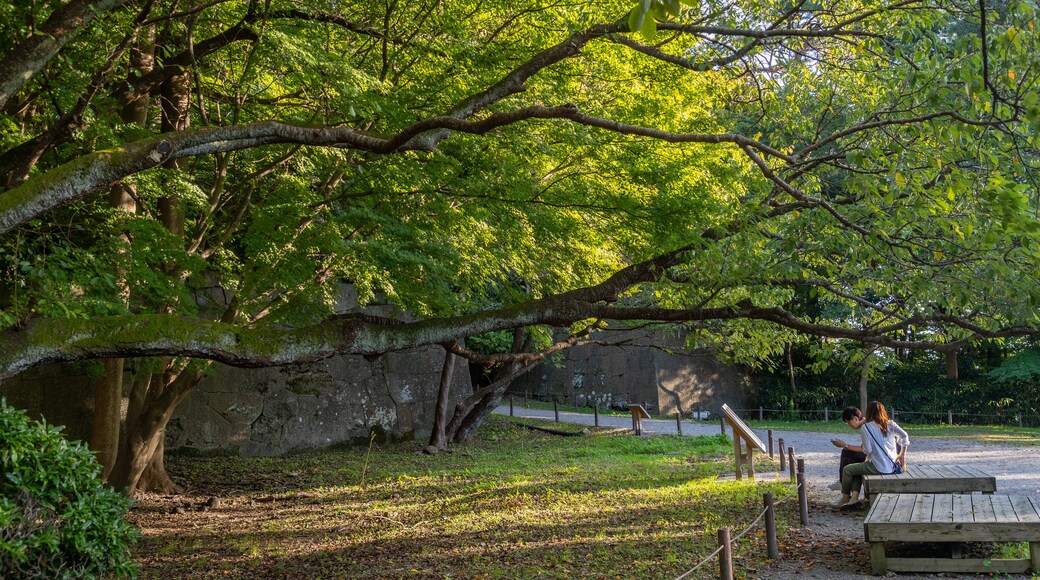 Kanazawa Castle Park