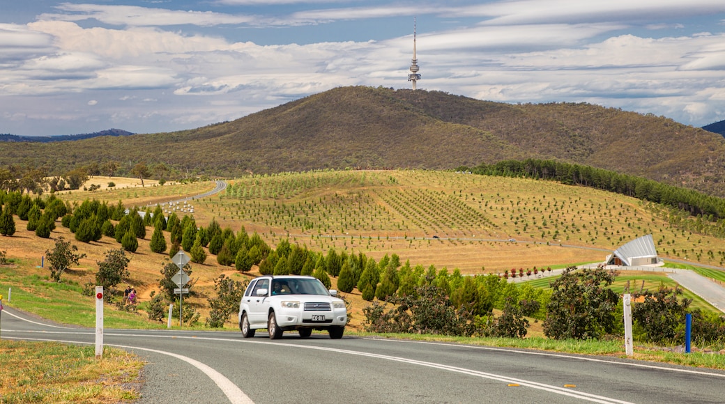 Molonglo Valley