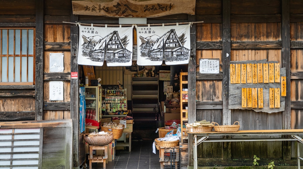 菅沼村合掌屋