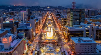 Sapporo TV Tower which includes night scenes, a city and landscape views