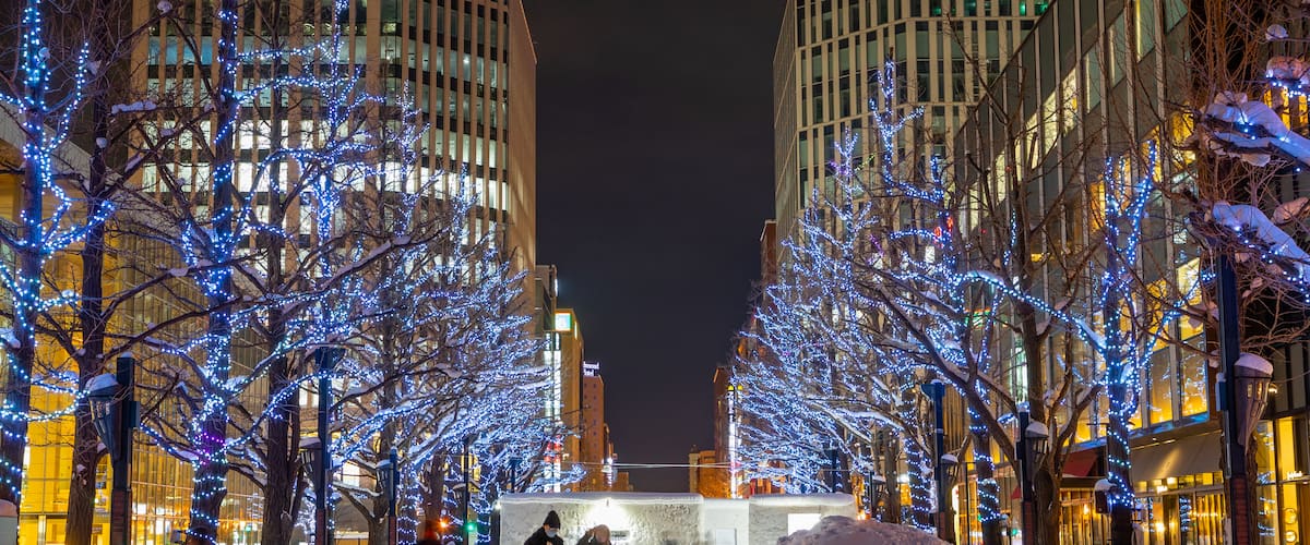 Sapporo which includes a city and night scenes as well as a couple