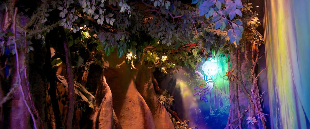 Aquatopia toont attracties en interieur